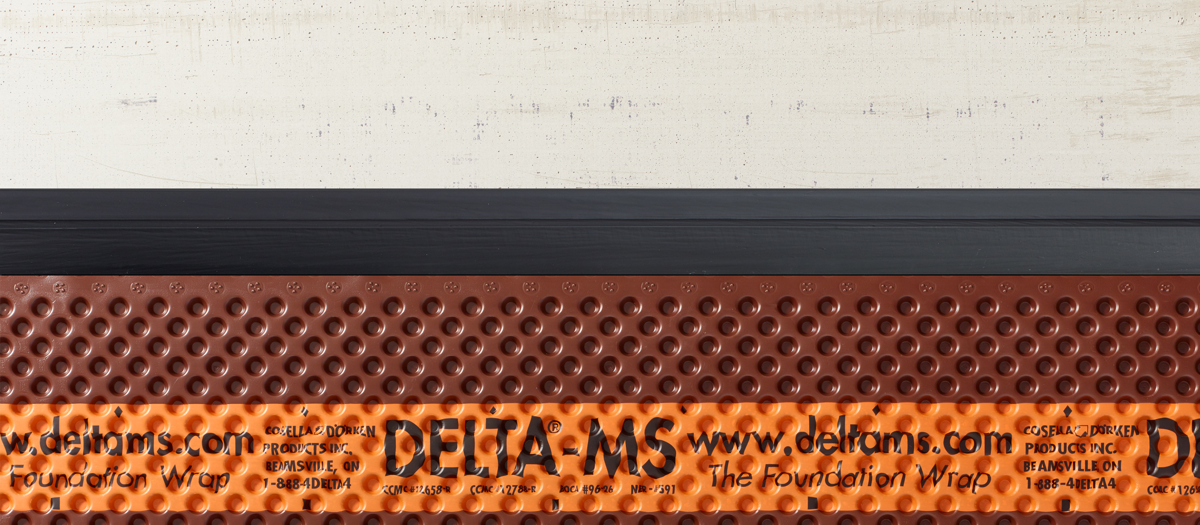 DELTA Mold Strip — Case of 2